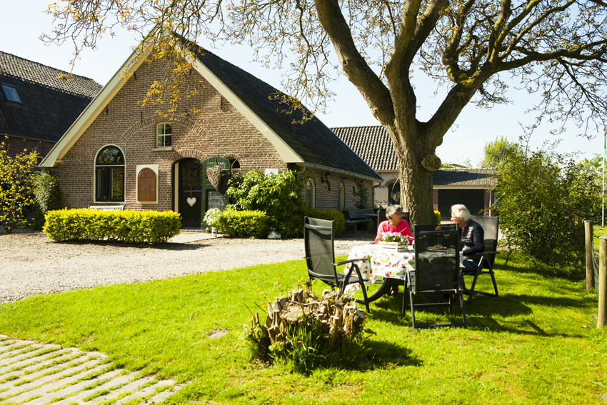 De tuin met de oude boom